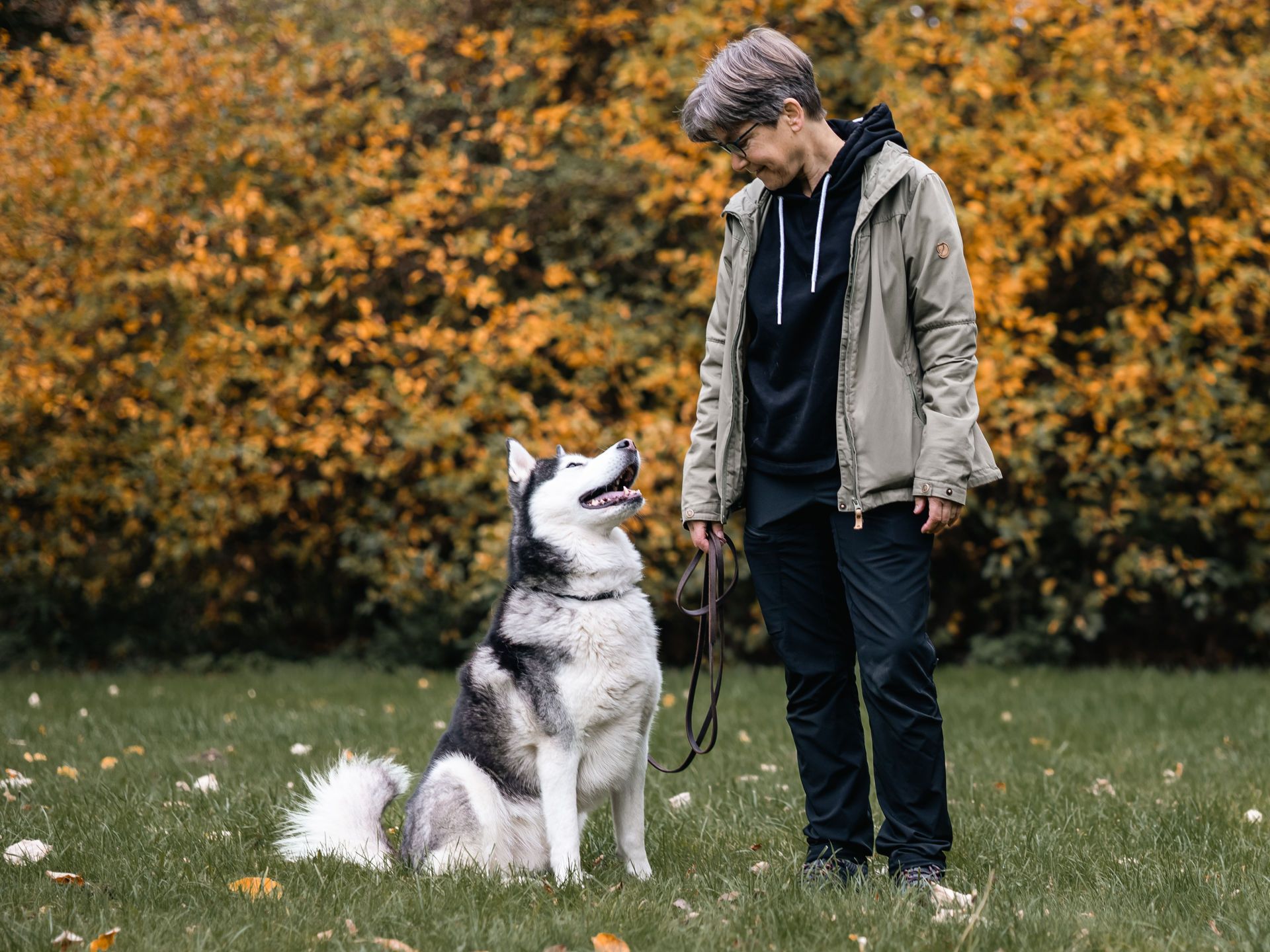 Claudia Hesse Hundetraining Mensch Hund Team