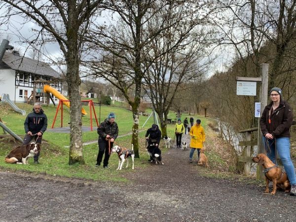 Social Walk, Hundetraining Gruppentraining im Wald